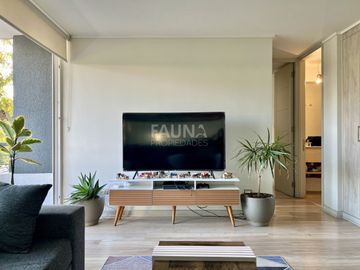 AVENIDA SAN LUIS DE MACUL 4355