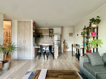 AVENIDA SAN LUIS DE MACUL 4355