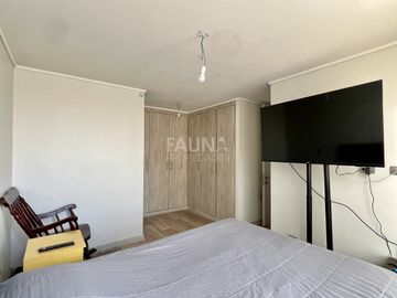 AVENIDA SAN LUIS DE MACUL 4355