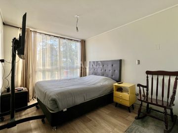 AVENIDA SAN LUIS DE MACUL 4355