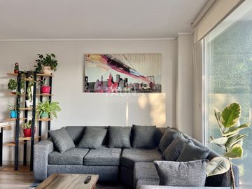 AVENIDA SAN LUIS DE MACUL 4355
