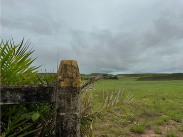 FINCA DE 4.000 HECTAREAS EN VENTA, PUERTO LOPEZ META