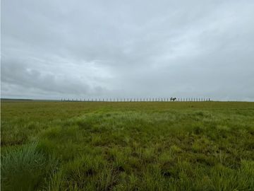 FINCA DE 4.000 HECTAREAS EN VENTA, PUERTO LOPEZ META