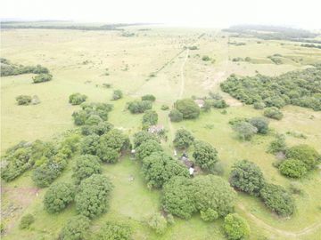 FINCA DE 4.000 HECTAREAS EN VENTA, PUERTO LOPEZ META