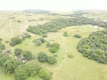 FINCA DE 4.000 HECTAREAS EN VENTA, PUERTO LOPEZ META
