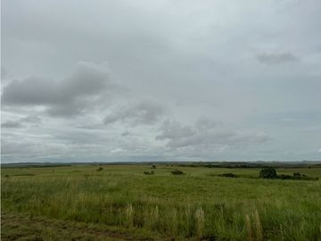 FINCA DE 4.000 HECTAREAS EN VENTA, PUERTO LOPEZ META