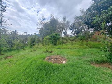 TERRENO UBICADO EN SAN PATRICIO, PROYECTO DE CONSTRUCCION APROBADO POR MUNICIPIO