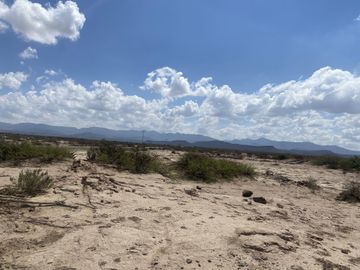 Terreno en venta en San Antonio del Jaral, General Cepeda, Coahuila de Zaragoza