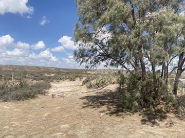 Terreno en venta en San Antonio del Jaral, General Cepeda, Coahuila de Zaragoza