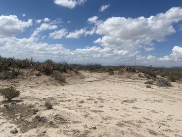 Terreno en venta en San Antonio del Jaral, General Cepeda, Coahuila de Zaragoza