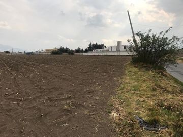 Terreno