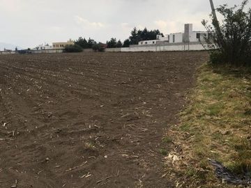 Terreno