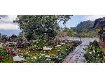 SE VENDE HERMOSA FINCA EN DAGUA PARCELACIÓN ASOFLORESTA GANGA!