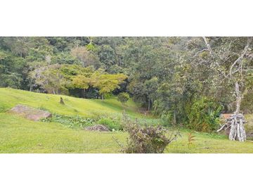 SE VENDE HERMOSA FINCA EN DAGUA PARCELACIÓN ASOFLORESTA GANGA!