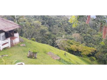 SE VENDE HERMOSA FINCA EN DAGUA PARCELACIÓN ASOFLORESTA GANGA!