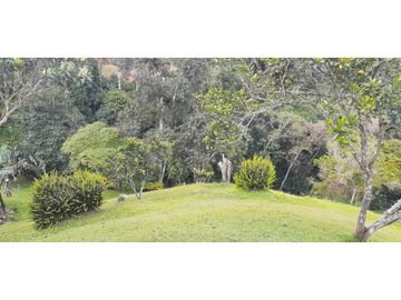 SE VENDE HERMOSA FINCA EN DAGUA PARCELACIÓN ASOFLORESTA GANGA!