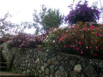 SE VENDE HERMOSA FINCA EN DAGUA PARCELACIÓN ASOFLORESTA GANGA!
