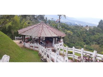 SE VENDE HERMOSA FINCA EN DAGUA PARCELACIÓN ASOFLORESTA GANGA!