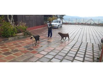 SE VENDE HERMOSA FINCA EN DAGUA PARCELACIÓN ASOFLORESTA GANGA!