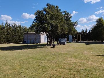 Casa en venta - 2 Dormitorios 2 Baños - Cocheras - 2.790Mts2 - Coronel Dorrego