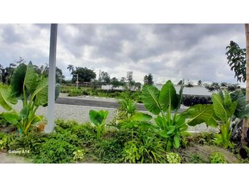 Casas Sobre Planos Sector Club Campestre Armenia