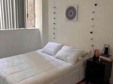 Venta departamento Colonia del Valle