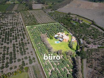 PRECIOSA CASA DE CAMPO EN VENTA CON PLANTACIÓN DE PALTOS, MALA