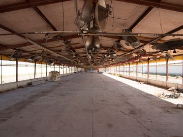 RANCHO AVÍCOLA EN VENTA EN GOMEZ PALACIO