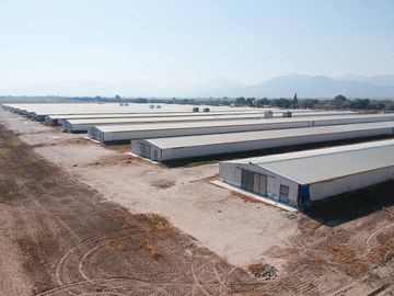 RANCHO AVÍCOLA EN VENTA EN GOMEZ PALACIO