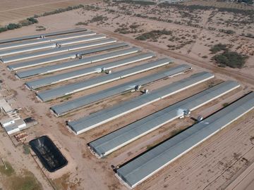 RANCHO AVÍCOLA EN VENTA EN GOMEZ PALACIO
