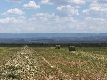 RANCHO EN VENTA EN PARRAS DE LA FUENTE