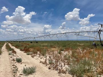 RANCHO EN VENTA EN PARRAS DE LA FUENTE