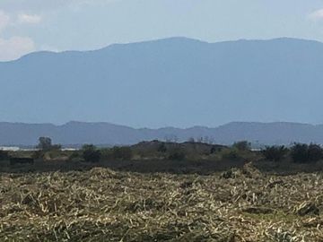 RANCHO EN VENTA EN PARRAS DE LA FUENTE