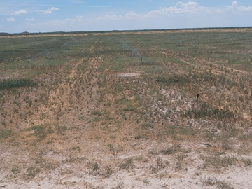 RANCHO EN VENTA EN PARRAS DE LA FUENTE