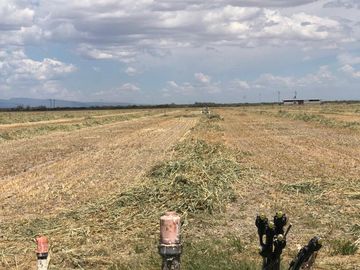 RANCHO EN VENTA EN PARRAS DE LA FUENTE
