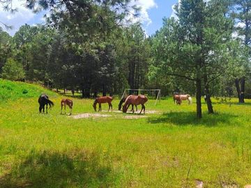 CABAÑA EN VENTA EN FRACCIONAMIENTO PROVIDENCIA, DURANGO, DURANGO
