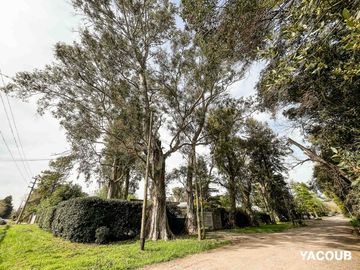 Casa en venta - 4 Dormitorios 2 Baños - 500Mts2 - City Bell