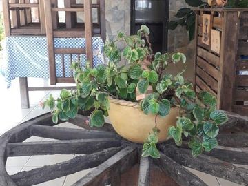 Rancho en Venta, Villaflores, Chiapas.