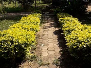 Rancho en Venta, Villaflores, Chiapas.