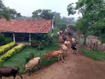 Rancho en Venta, Villaflores, Chiapas.