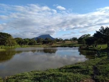 Rancho en Venta, Villaflores, Chiapas.