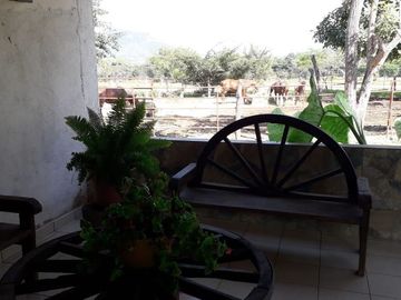 Rancho en Venta, Villaflores, Chiapas.