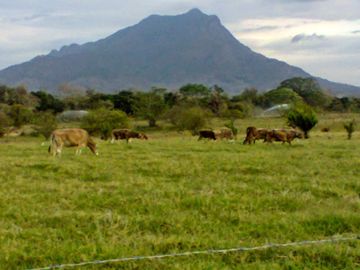 Rancho en Venta, Villaflores, Chiapas.