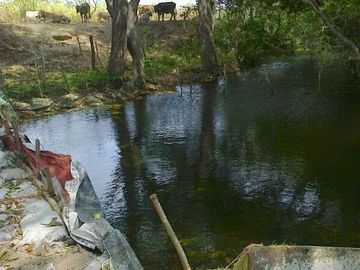 Rancho en Venta, Villaflores, Chiapas.