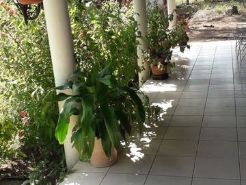Rancho en Venta, Villaflores, Chiapas.