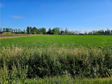 VENTA FINCA 20 HECTAREAS APTO PISTACHOS ALTOS DEL OLVIDO MENDOZA