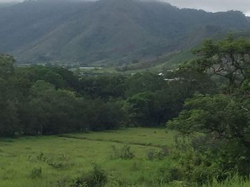 RANCHO EN VENTA VILLA HIDALGO  VILLAFLORES