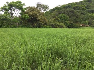RANCHO EN VENTA VILLA HIDALGO  VILLAFLORES