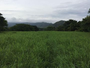 RANCHO EN VENTA VILLA HIDALGO  VILLAFLORES