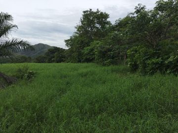 RANCHO EN VENTA VILLA HIDALGO  VILLAFLORES